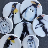 Assorted Penguins